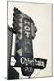 Neon Sign for the Chieftain Hotel and Pub, Squamish, British Columbia, Canada-Walter Bibikow-Mounted Premium Photographic Print