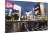 Neon Signs and Pedestrian Crossing (The Scramble) at Night, Shibuya Station, Shibuya, Tokyo, Japan-Stuart Black-Mounted Photographic Print