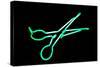 Neon Signs And Symbols Isolated On Black-mikeledray-Stretched Canvas