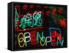 Neon Signs for Sale in Dotombori District Market, Osaka, Japan-Nancy & Steve Ross-Framed Stretched Canvas