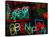 Neon Signs for Sale in Dotombori District Market, Osaka, Japan-Nancy & Steve Ross-Stretched Canvas