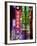 Neon Signs, Nanjing Road Shopping Area, Shanghai, China, Asia-Neale Clark-Framed Photographic Print