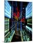 Neon, Tokyo, Japan-Rob Tilley-Mounted Photographic Print