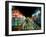 Neon, Tokyo, Japan-Rob Tilley-Framed Photographic Print