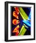 Neon Vegas Sign at Night, Downtown, Freemont East Area, Las Vegas, Nevada, USA, North America-Gavin Hellier-Framed Photographic Print