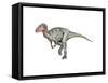 Neovenator Dinosaur-null-Framed Stretched Canvas