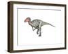 Neovenator Dinosaur-null-Framed Art Print