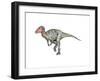 Neovenator Dinosaur-null-Framed Art Print