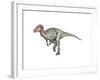 Neovenator Dinosaur-null-Framed Art Print