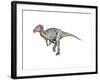 Neovenator Dinosaur-null-Framed Art Print
