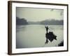 Nepal, Chitwan National Park, Narayani River-Michele Falzone-Framed Photographic Print