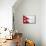 Nepal Flag Design with Wood Patterning - Flags of the World Series-Philippe Hugonnard-Mounted Premium Giclee Print displayed on a wall