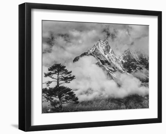 Nepal, Himalayas Mountain and Tree-John Ford-Framed Photographic Print
