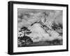 Nepal, Himalayas Mountain and Tree-John Ford-Framed Photographic Print