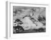 Nepal, Himalayas Mountain and Tree-John Ford-Framed Photographic Print