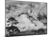 Nepal, Himalayas Mountain and Tree-John Ford-Mounted Photographic Print