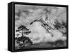 Nepal, Himalayas Mountain and Tree-John Ford-Framed Stretched Canvas