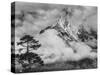 Nepal, Himalayas Mountain and Tree-John Ford-Stretched Canvas