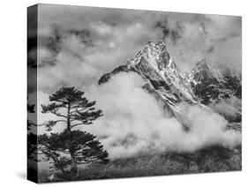 Nepal, Himalayas Mountain and Tree-John Ford-Stretched Canvas