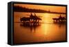 Nepal Loaded Bullock Carts Crossing Rapti River at Sunset-null-Framed Stretched Canvas