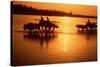 Nepal Loaded Bullock Carts Crossing Rapti River at Sunset-null-Stretched Canvas
