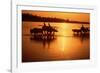 Nepal Loaded Bullock Carts Crossing Rapti River at Sunset-null-Framed Photographic Print