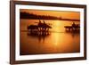 Nepal Loaded Bullock Carts Crossing Rapti River at Sunset-null-Framed Photographic Print