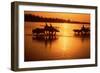 Nepal Loaded Bullock Carts Crossing Rapti River at Sunset-null-Framed Photographic Print