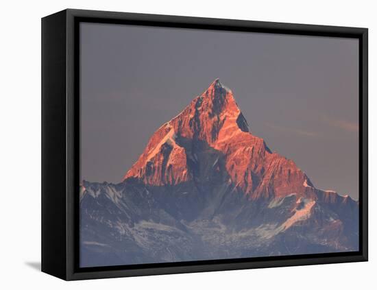 Nepal, Pokhara, Sarangkot, View of Annapurna Himalaya Mountain Range-Michele Falzone-Framed Stretched Canvas