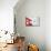 Nepalese Flag-daboost-Mounted Premium Giclee Print displayed on a wall