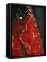 Nepali Woman Dressed in Wedding Veil, Kathmandu, Nepal-Paul Harris-Framed Stretched Canvas