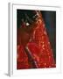 Nepali Woman Dressed in Wedding Veil, Kathmandu, Nepal-Paul Harris-Framed Photographic Print