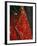 Nepali Woman Dressed in Wedding Veil, Kathmandu, Nepal-Paul Harris-Framed Photographic Print