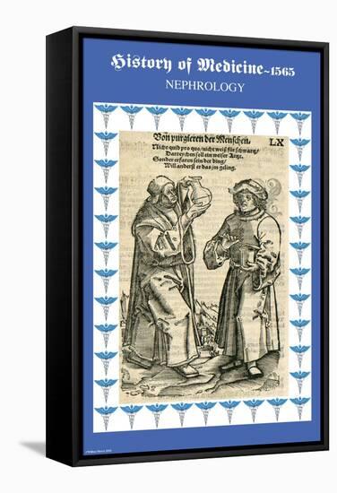 Nephrology-Paracelsus-Framed Stretched Canvas