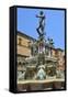 Neptune Fountain, Piazza Del Nettuno, Bologna, Emilia-Romagna, Italy, Europe-Peter Richardson-Framed Stretched Canvas