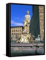 Neptune Fountain, Piazza Della Signoria, Florence, Unesco World Heritage Site, Tuscany, Italy-Hans Peter Merten-Framed Stretched Canvas