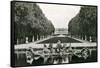 Neptune Fountain, Versailles, France-null-Framed Stretched Canvas