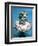 Neptune, Roman God of the Oceans-null-Framed Premium Giclee Print