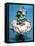 Neptune, Roman God of the Oceans-null-Framed Stretched Canvas