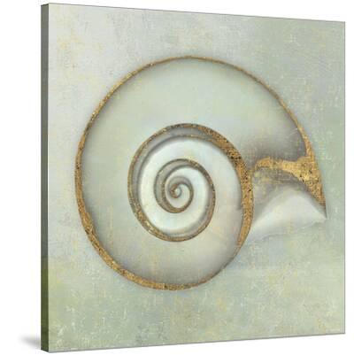 'Neptune's Garden I' Stretched Canvas Print Bert Myers