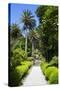 Neptune's Steps, Abbey Gardens, Isle of Tresco, Isles of Scilly, United Kingdom, Europe-Peter Barritt-Stretched Canvas