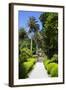 Neptune's Steps, Abbey Gardens, Isle of Tresco, Isles of Scilly, United Kingdom, Europe-Peter Barritt-Framed Photographic Print