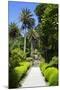 Neptune's Steps, Abbey Gardens, Isle of Tresco, Isles of Scilly, United Kingdom, Europe-Peter Barritt-Mounted Photographic Print