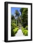 Neptune's Steps, Abbey Gardens, Isle of Tresco, Isles of Scilly, United Kingdom, Europe-Peter Barritt-Framed Photographic Print