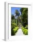 Neptune's Steps, Abbey Gardens, Isle of Tresco, Isles of Scilly, United Kingdom, Europe-Peter Barritt-Framed Photographic Print