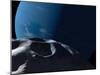 Neptune Seen from the Surface of its Tiny Moon, Naiad-Stocktrek Images-Mounted Premium Photographic Print