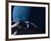 Neptune Seen from the Surface of its Tiny Moon, Naiad-Stocktrek Images-Framed Photographic Print