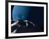 Neptune Seen from the Surface of its Tiny Moon, Naiad-Stocktrek Images-Framed Photographic Print