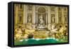 Neptune Statue of the Trevi Fountain in Rome Italy-David Ionut-Framed Stretched Canvas