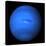 Neptune, Voyager 2 Image-null-Stretched Canvas